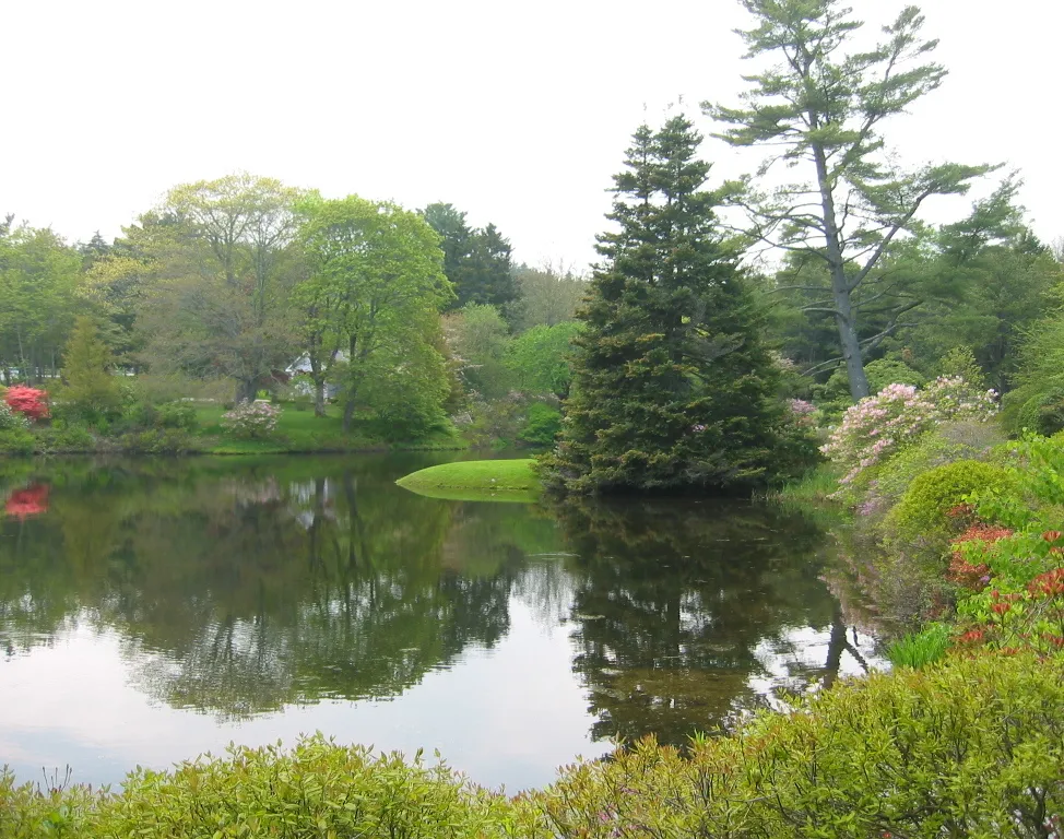 The pond at Asticou in azalea season, late May into early June. The garden is free and runs 2 May to 1 November, a longer season than nearby Thuya.