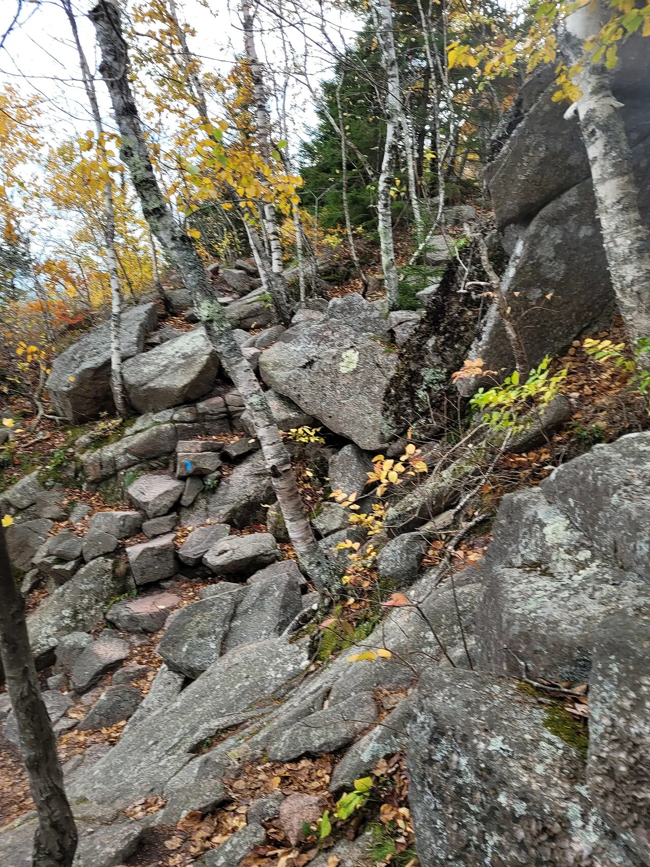 Boulder scrambling on the Precipice Trail, with a blue blaze on the rock at centre. The trail is closed roughly March to mid-August each year for nesting peregrine falcons.